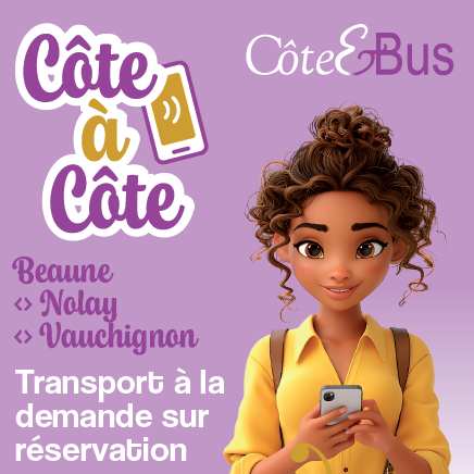 transport à la demande réservation bus nolay vauchignon beaune